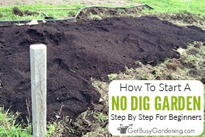 No Dig Gardening 101: How To Start A No Dig Garden