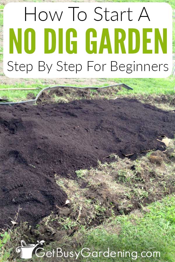 How To Start A No Dig Garden: Step By Step For Beginners