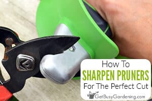 How To Sharpen Pruning Shears For The Perfect Cut Every Time