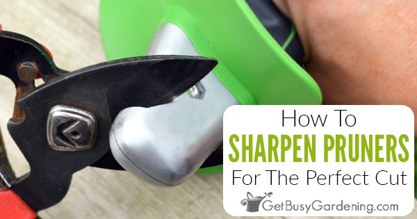 How to Sharpen Garden Shears