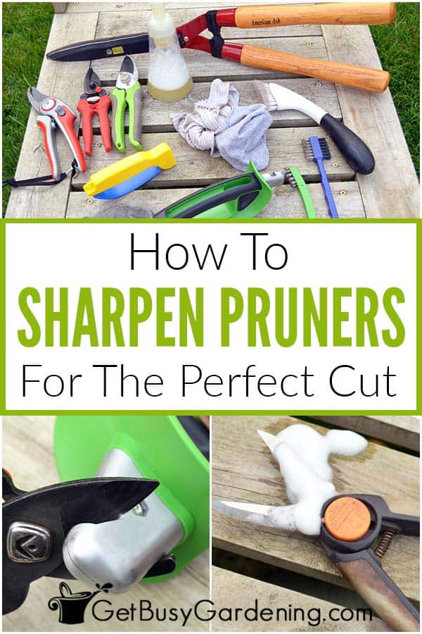 How To Sharpen Pruners For The Perfect Cut