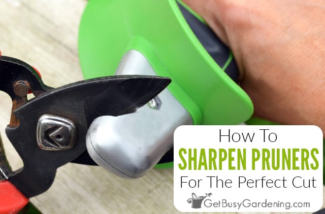 How to Sharpen Pruner Blades with a Carbide Sharpener - Gardening