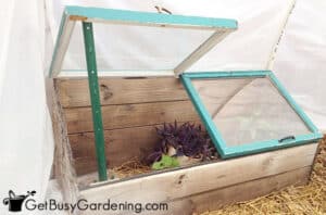 Beginner's Guide To Cold Frame Gardening: How, Why & When To Use