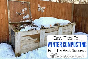 7 Tips For Winter Composting Success