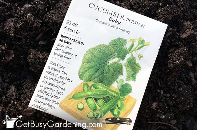 A cucumber seed packet