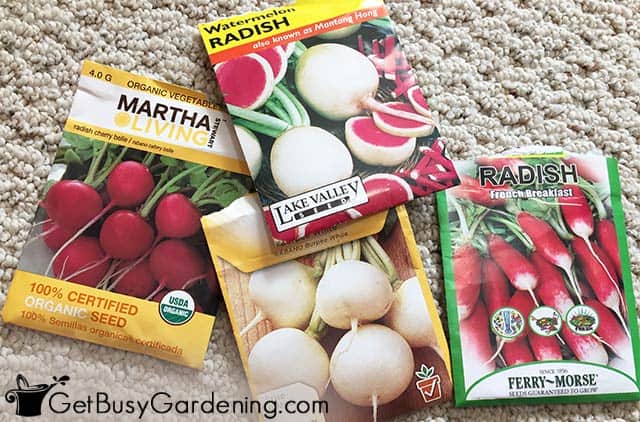 Different types of radish seed packets