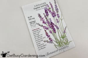 Growing Lavender From Seed: Complete How To Guide - Get Busy Gardening