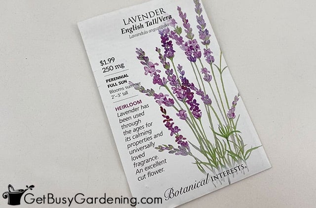 English lavender seed packet