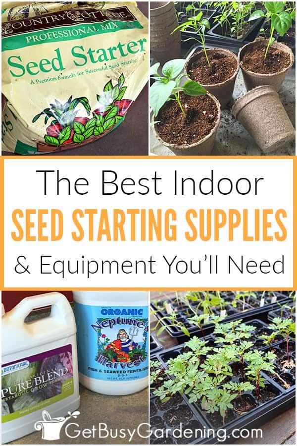 The Best Indoor Seed Starting Supplies & Equipment You'll Need