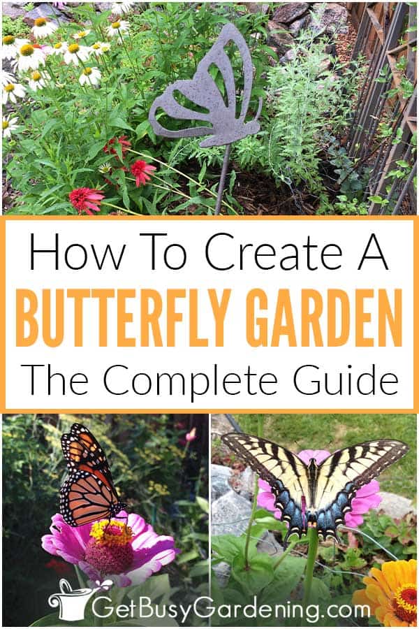 How To Create A Butterfly Garden: The Complete Guide