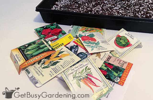 Different types of seeds to start indoors