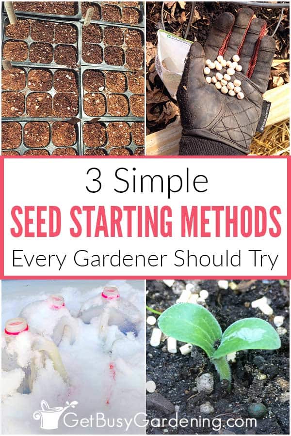3 Simple Seed Starting Methods Every Gardener Should Try