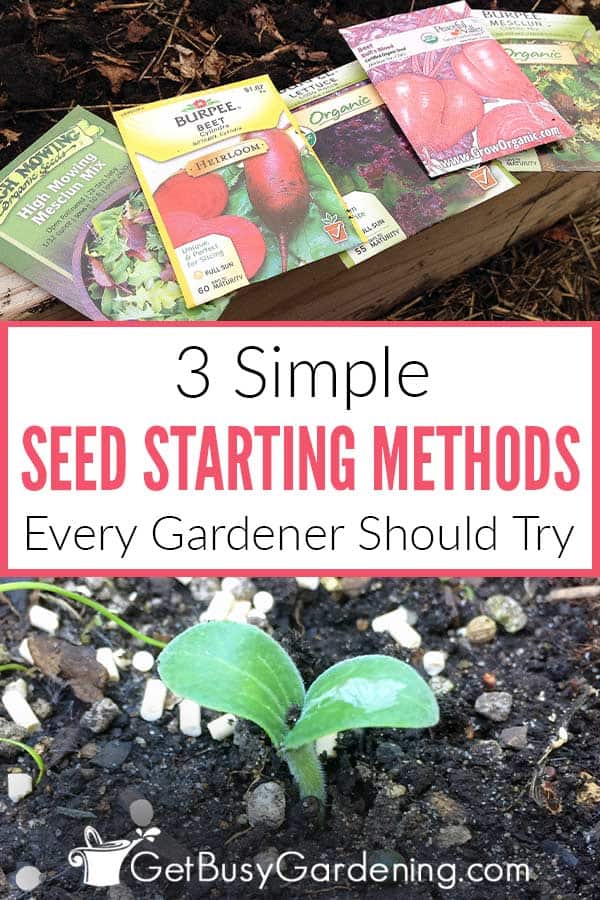 3 Simple Seed Starting Methods Every Gardener Should Try