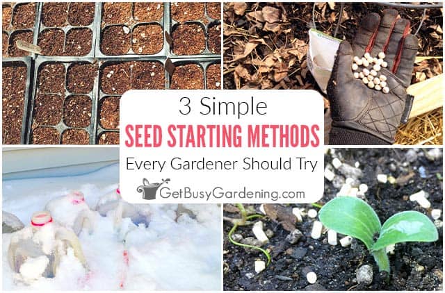Seed Starting Methods That Every Gardener Should Try