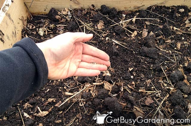 Sowing seeds directly in garden