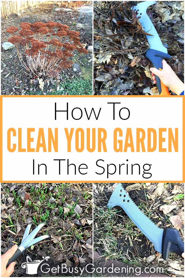 How To Clean Your Garden In The Spring