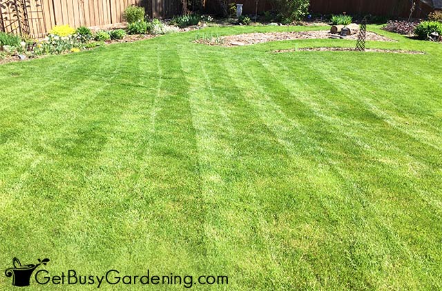 A simple lawn striping pattern
