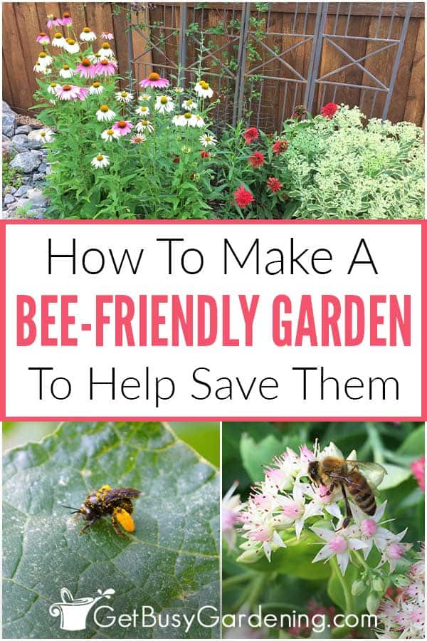 How To Make A Bee-Friendly Garden To Help Save Them