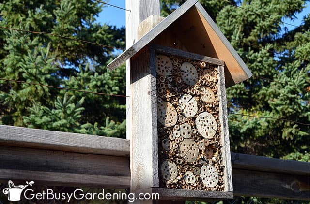 Insect house made for bees