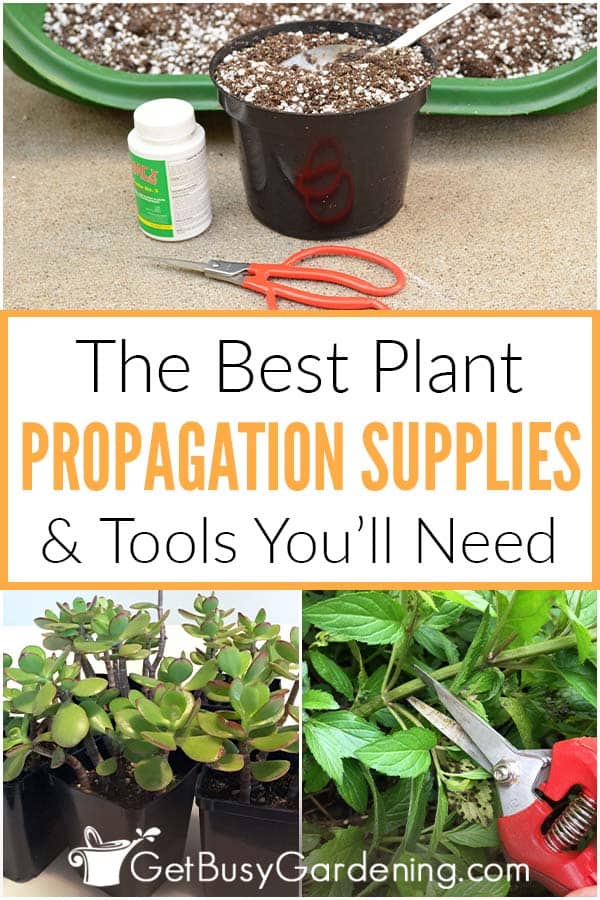 The Best Plant Propagation Supplies & Tools You'll Need