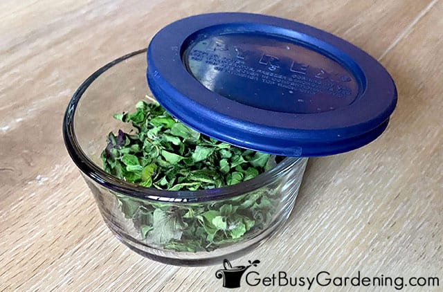 Storing dried oregano in a sealed container