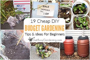 Beginner’s Guide To Gardening On A Budget (19 Cheap DIY Tips)