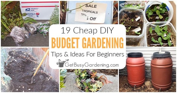 19 Cheap DIY Tips To Gardening On A Budget (Beginner's Guide)