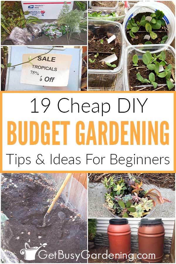 19 Cheap DIY Budget Gardening Tips & Ideas For Beginners