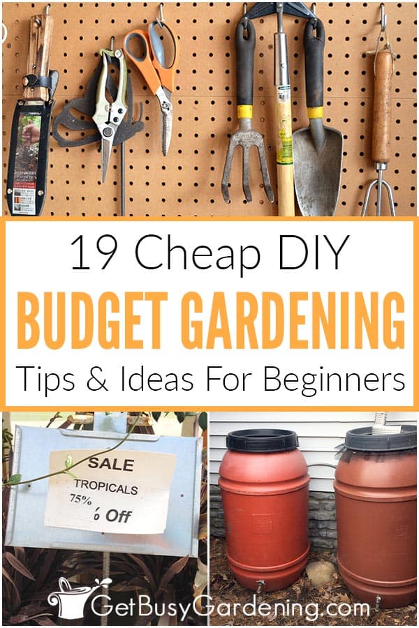 19 Cheap DIY Budget Gardening Tips & Ideas For Beginners