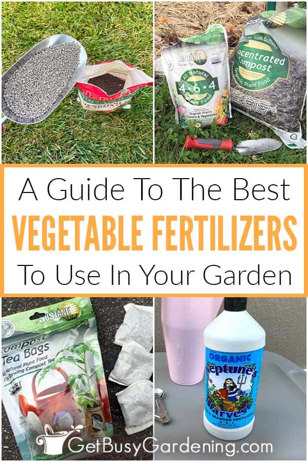 A Guide To The Best Vegetable Fertilizers To Use In Your Garden