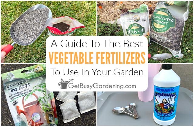 Guide To The Best Fertilizers For Vegetable Gardens