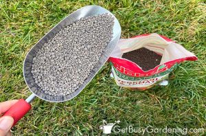 Guide To Choosing The Best Fertilizer For Your Vegetable Garden