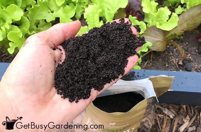 Worm casting fertilizer for my vegetable plants