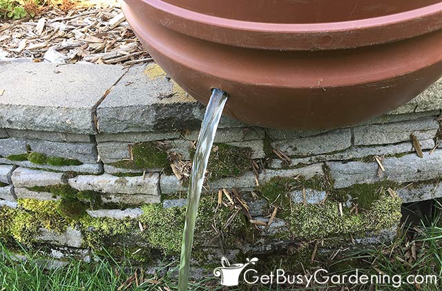 Draining water from rain barrel in the fall