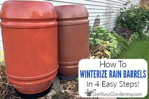 Winterizing A Rain Barrel In 4 Easy Steps