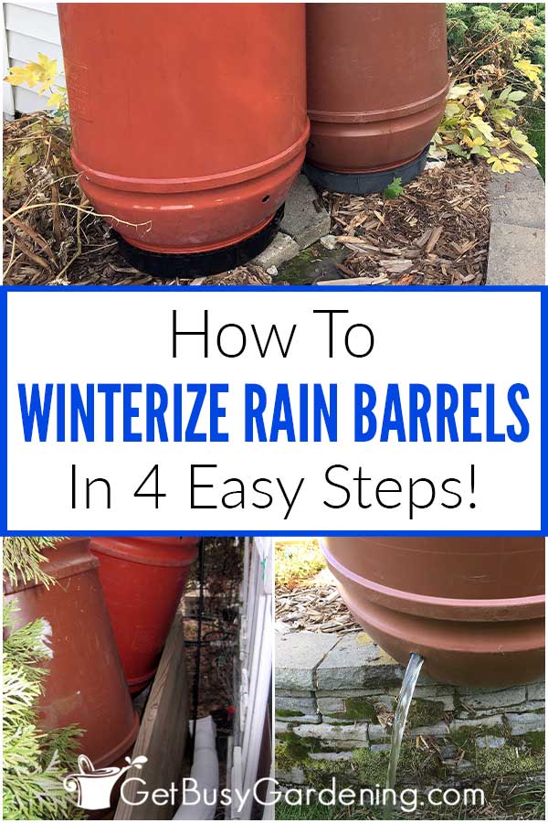 How To Winterize Rain Barrels In 4 Easy Steps!