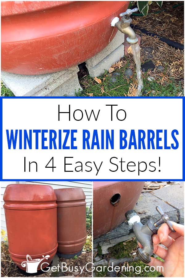 How To Winterize Rain Barrels In 4 Easy Steps!