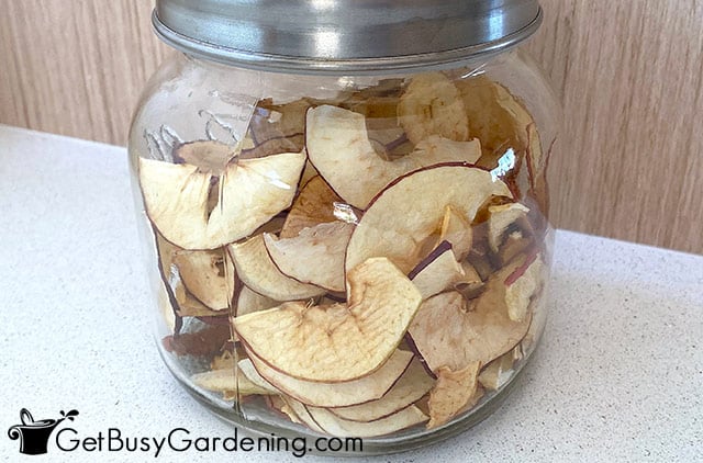 Dehydrated apple chips in sealed jar