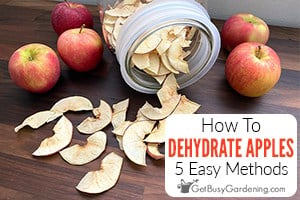 How To Dehydrate Apples: 5 Simple Drying Methods