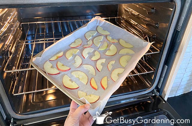 Dehydrating apples in the oven