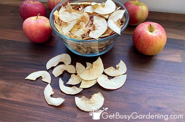 My dried apples in a bowl ready for snacking