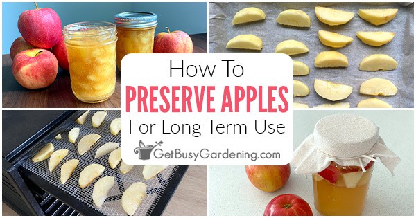 Storing Apples - How To Preserve Apples From The Garden