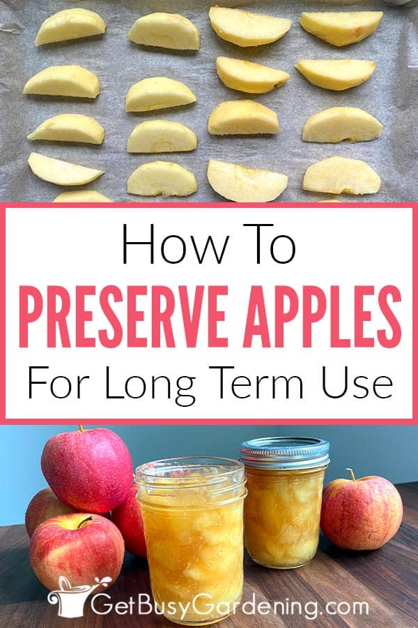 How To Preserve Apples For Long Term Use
