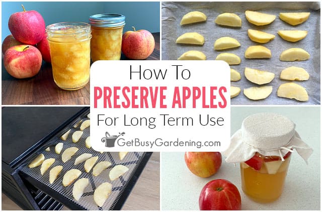 How To Preserve Apples For Long Term