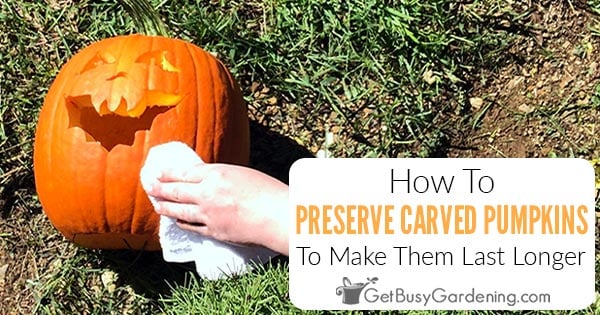 How To Preserve A Carved Pumpkin - Plus Tips To Make It Last Longer