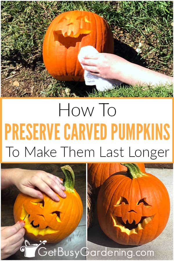 How To Preserve Carved Pumpkins To Make Them Last Longer