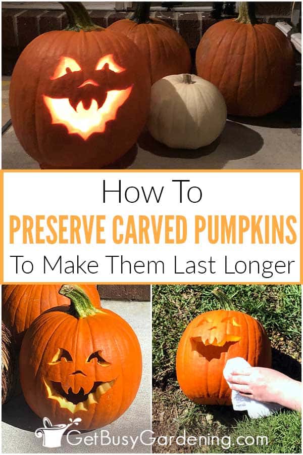How To Preserve Carved Pumpkins To Make Them Last Longer