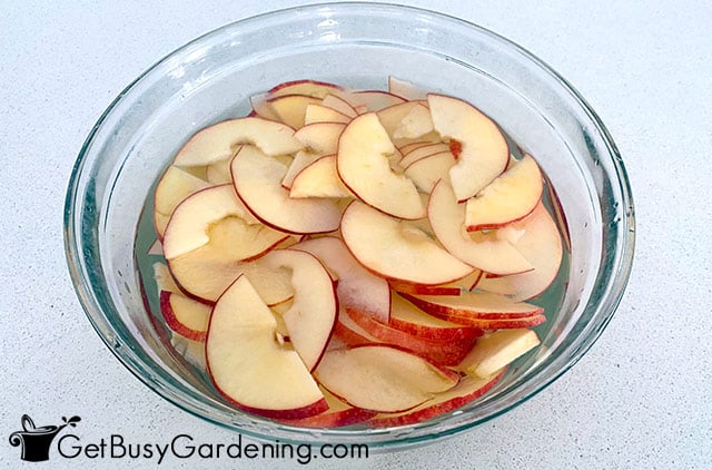 Soaking apples before dehydrating