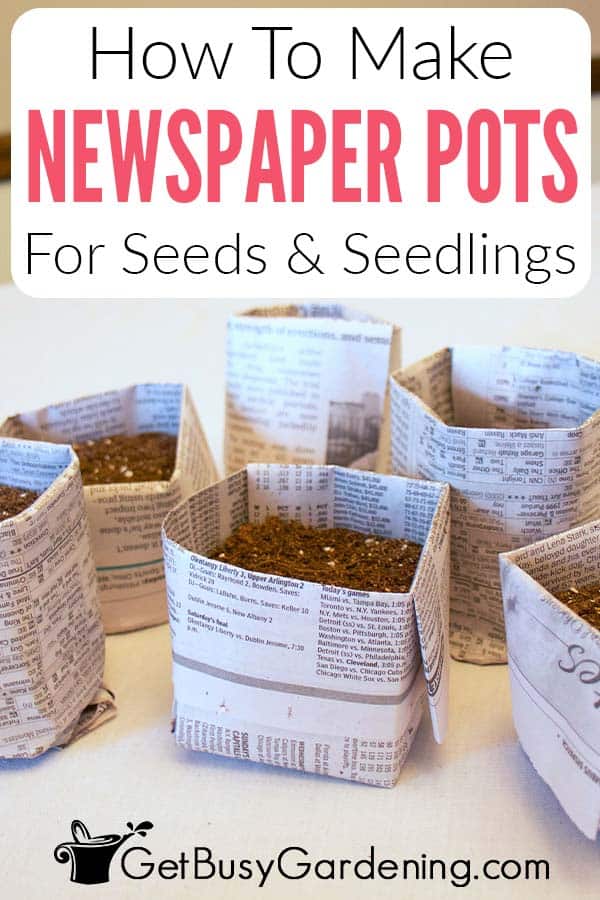 How To Make Newspaper Pots For Seeds & Seedlings