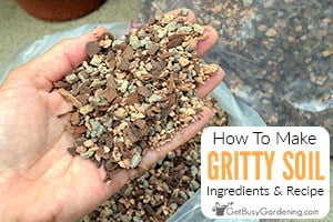 How To Make Your Own Gritty Mix Potting Soil